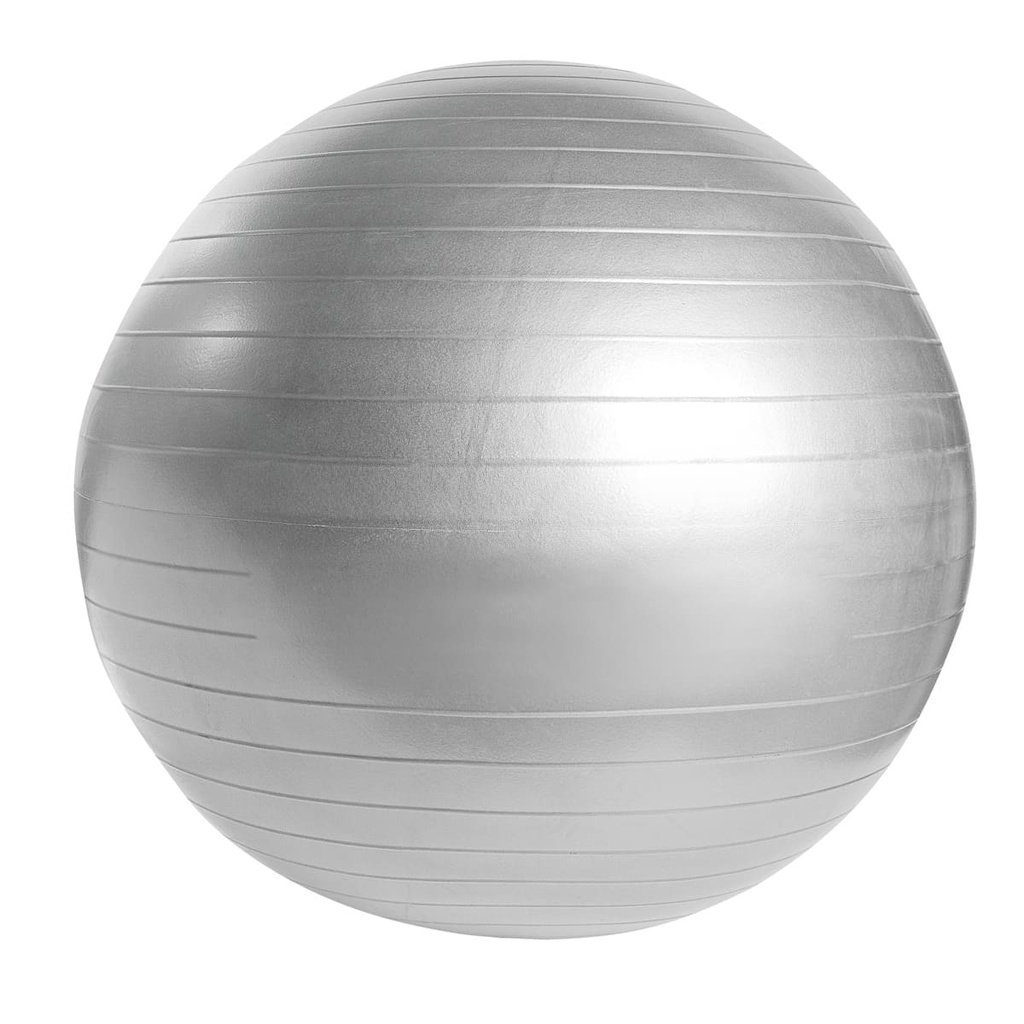 [SPO 018 S] PELOTA DE PILATES WELLNESS