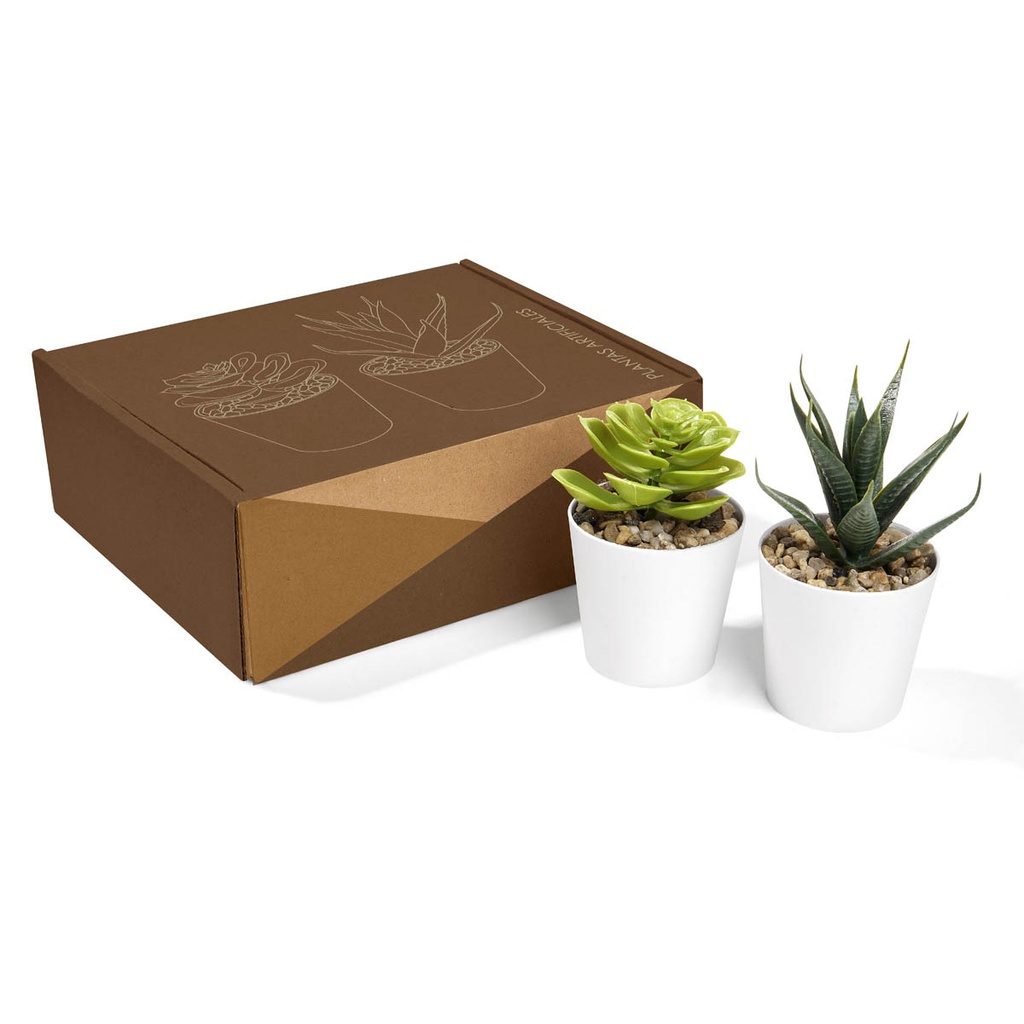 [KTC 750 B] SET DE PLANTAS ALISO