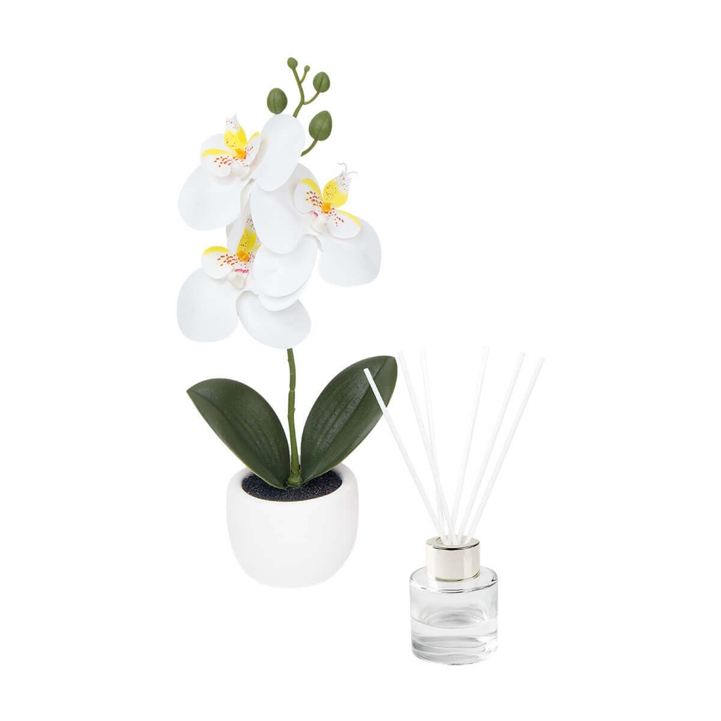 SET DECORATIVO FIORA